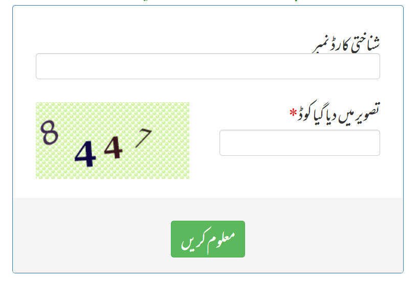 BISP 8171 Online Check Balance 2026