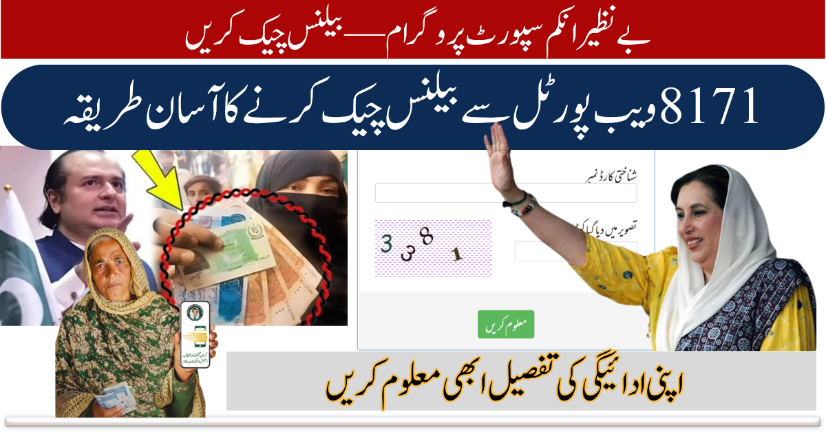 BISP 8171 Online Check Balance 2026