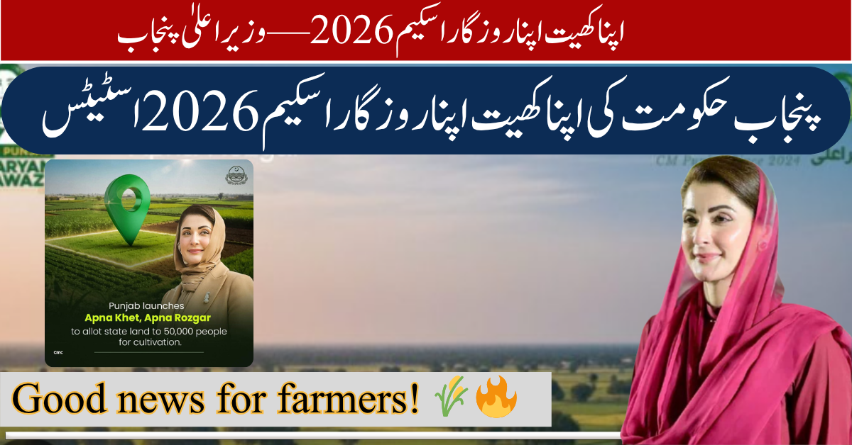CM Punjab Apna Khet Apna Rozgar Scheme 2026 Status
