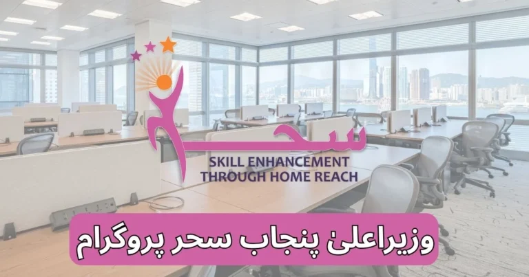 CM Punjab SEHR Program 2026