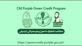 CM Punjab Launched Green Card Scheme 2026